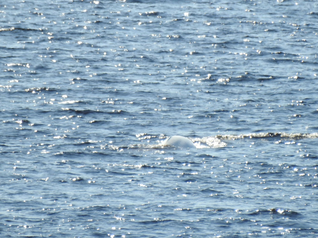 Baie Sainte-Marguerite-Sacré-Coeur-Saguenay必去景点