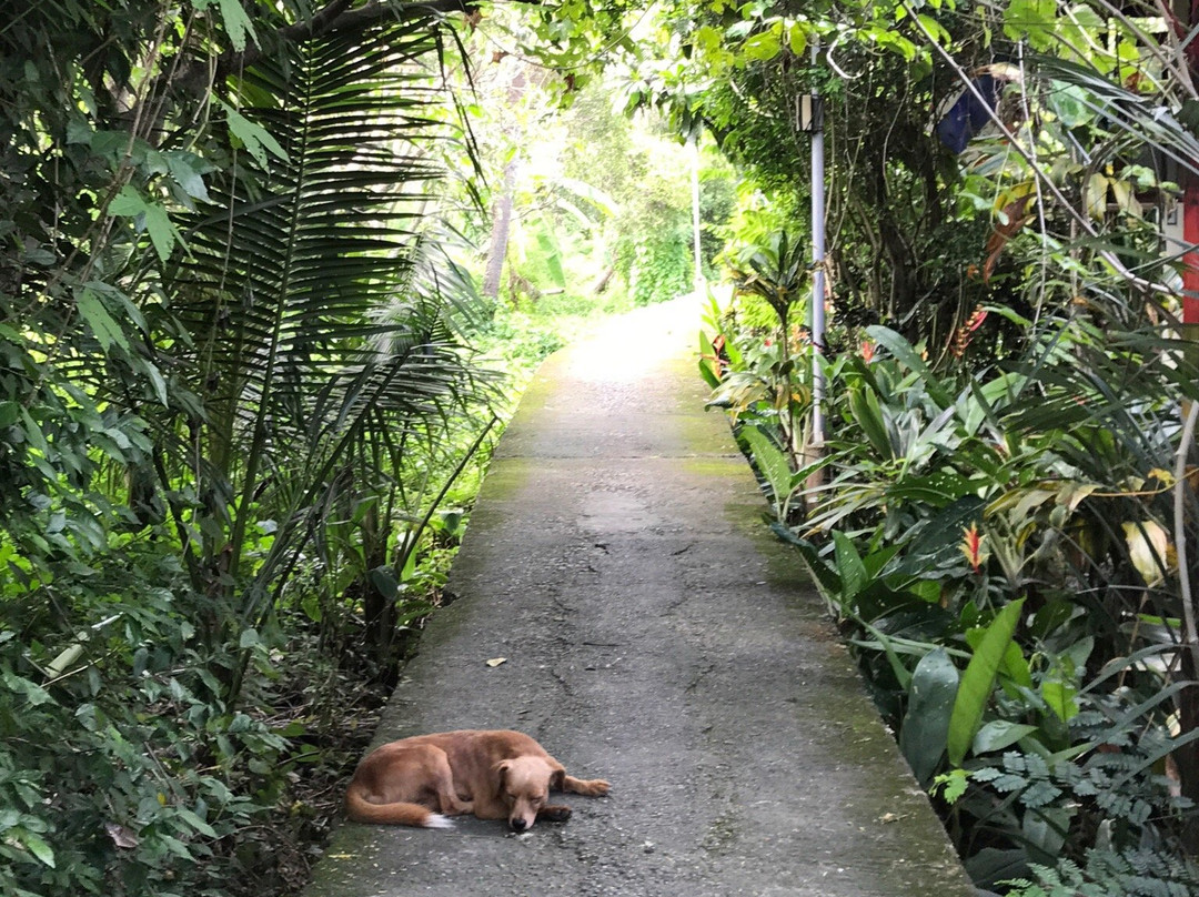 Pae-Jeab Bangkachao-帕巴登必去景点