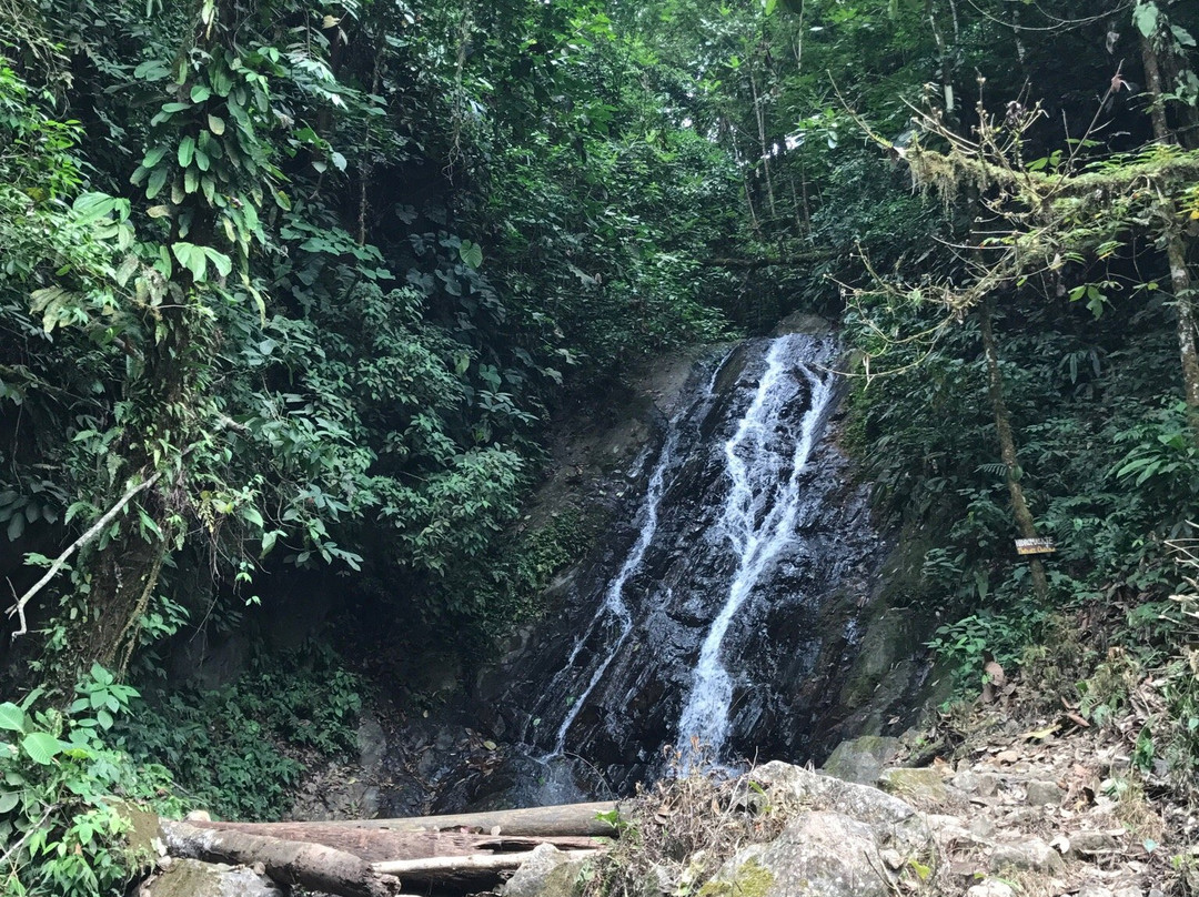 Siete Cascadas-La Mana必去景点