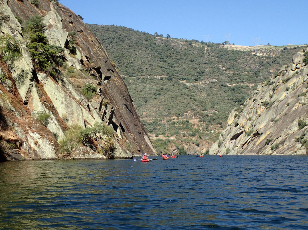 Portugal Kayak-阿威罗必去景点
