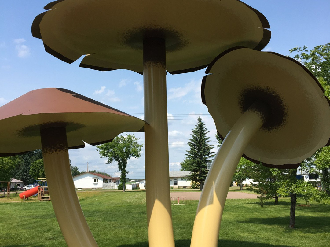 World's Largest Mushrooms-Vilna必去景点