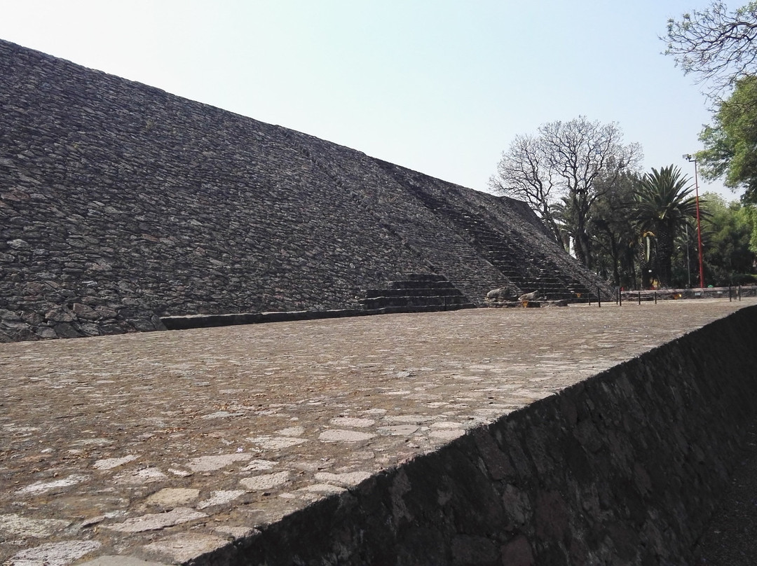 Zona Arqueológica Tenayuca景点图片