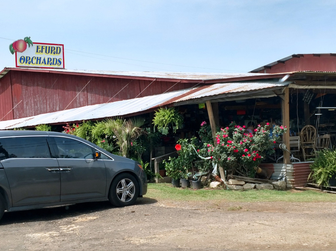 Efurd Orchards-Pittsburg必去景点