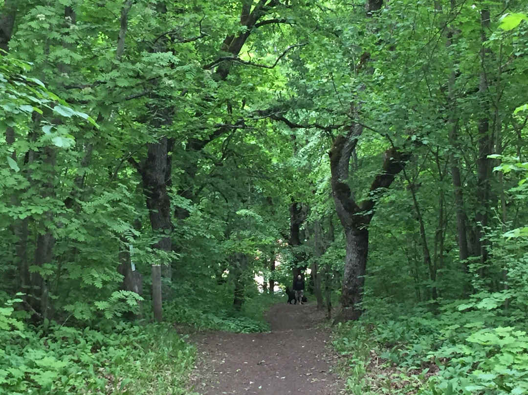 Rakvere Oak Grove Hiking Trail-拉克韦雷必去景点