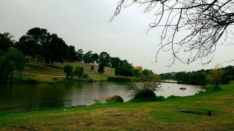 Greenvale Reservoir Park景点图片