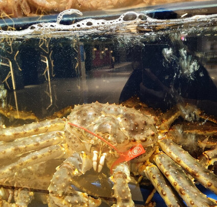 Ping An Finance Center Pafc Mall-深圳市必去景点