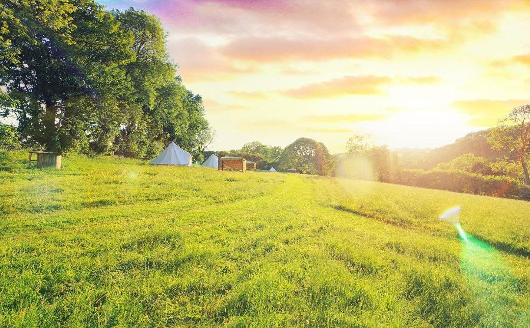 Eco-Escape Campsite