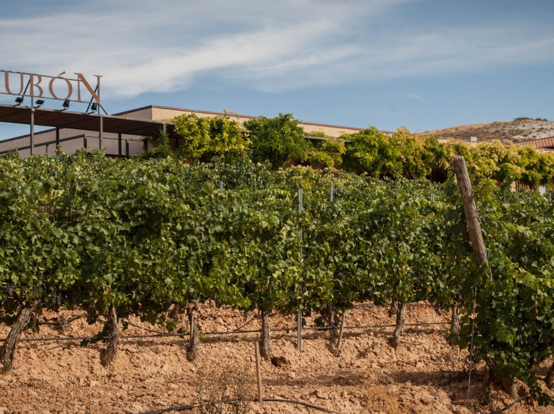 Bodegas Valdubón-Milagros必去景点