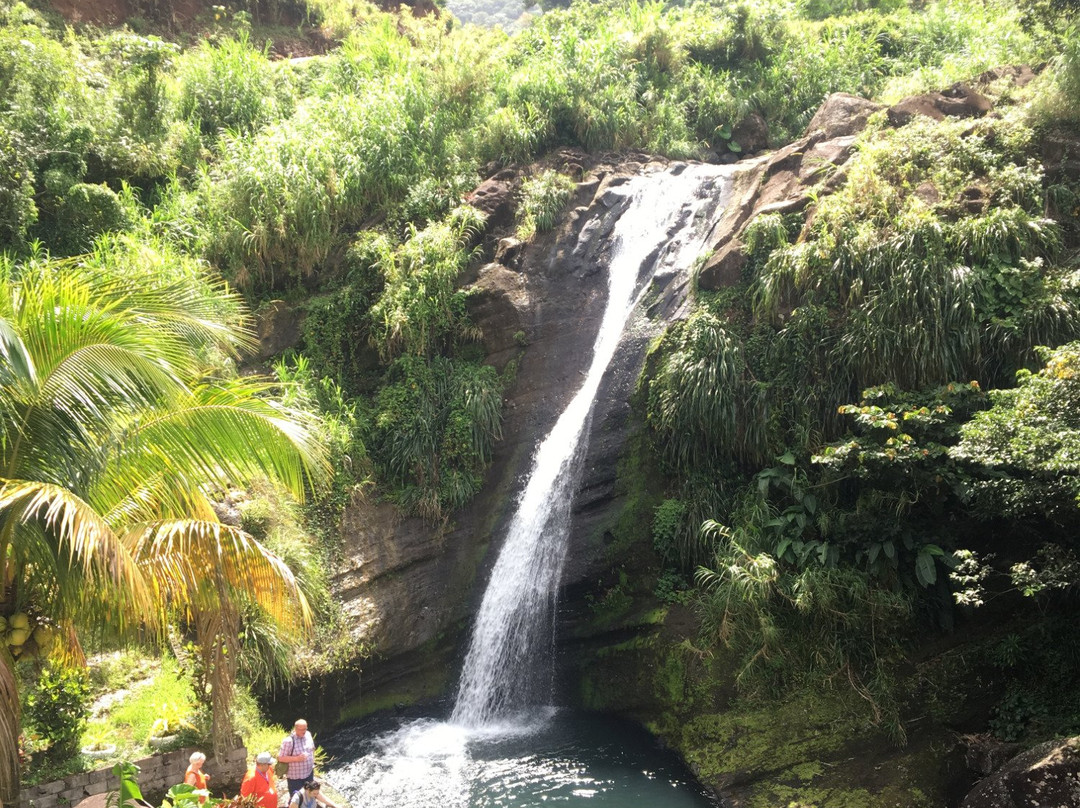 AJ Meddy Taxi & Tours Service-St. George's必去景点