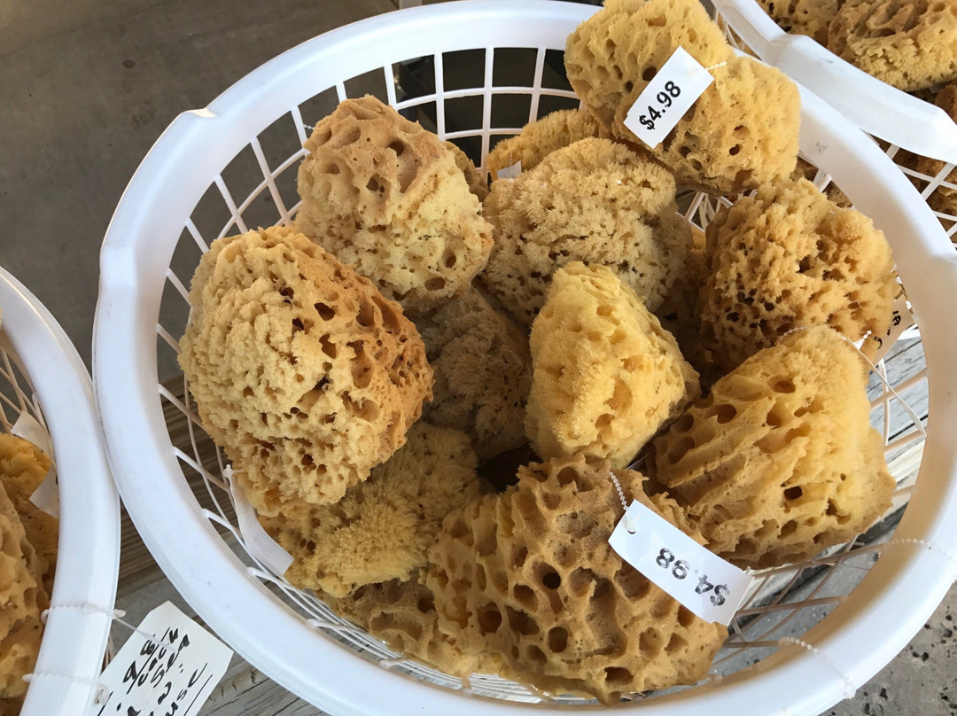 Wine at the Docks-塔彭斯普林斯必去景点