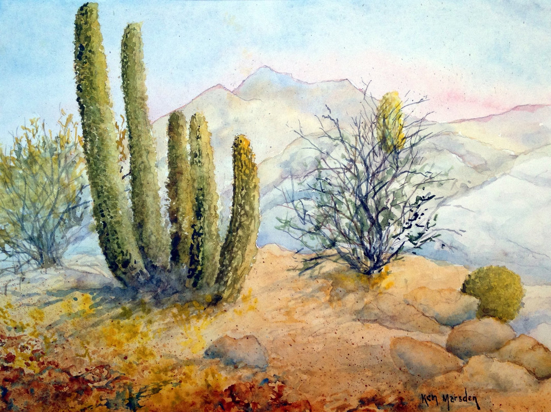 Belleza Fine Art Gallery景点图片