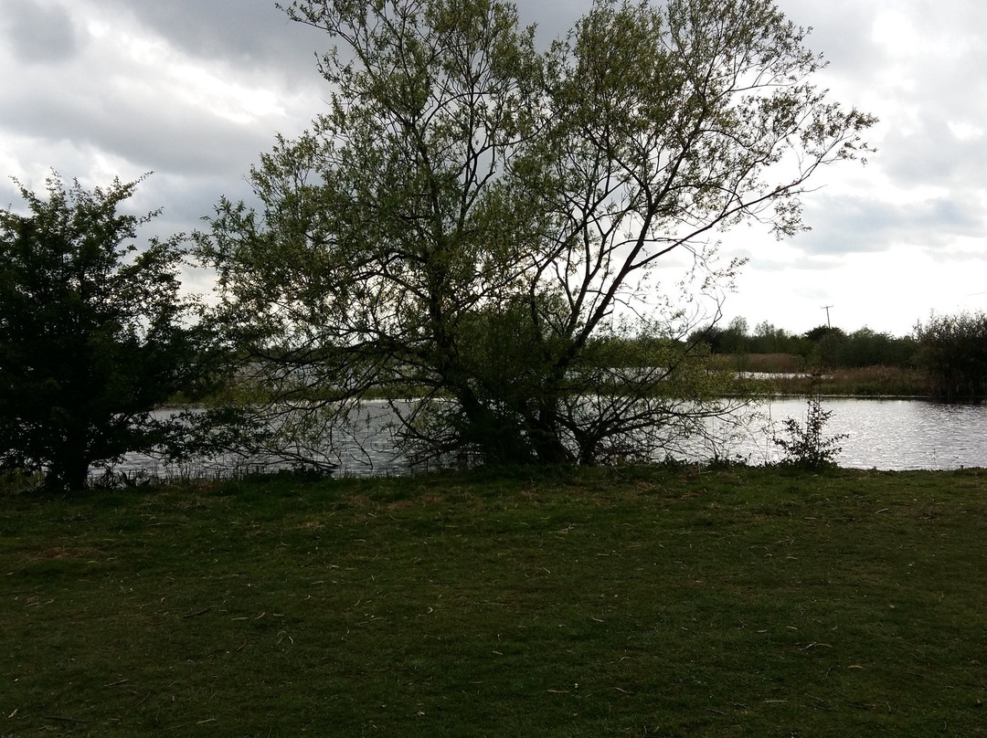 Summer Leys Nature Reserve景点图片