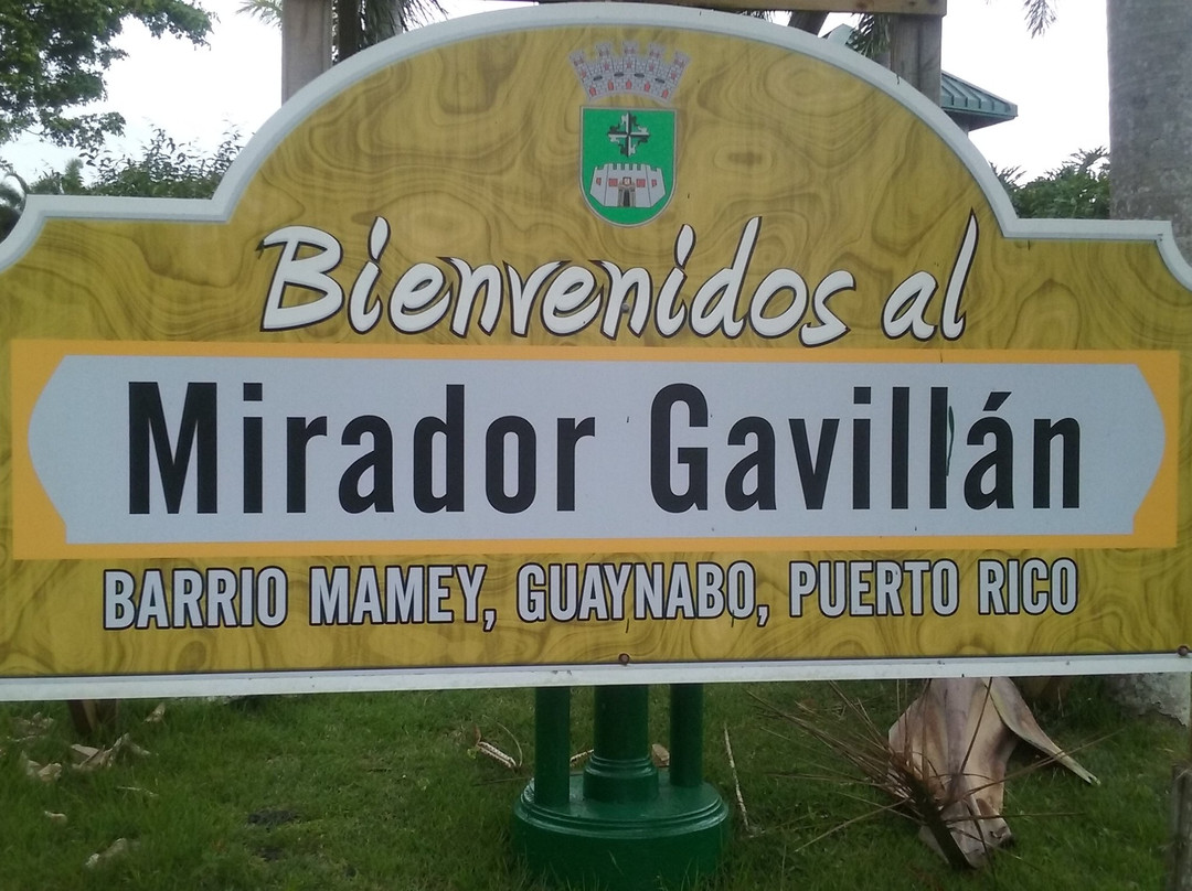 Mirador Gavillan景点图片