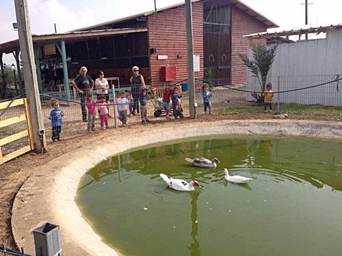 Yael Farm-Ge'a必去景点