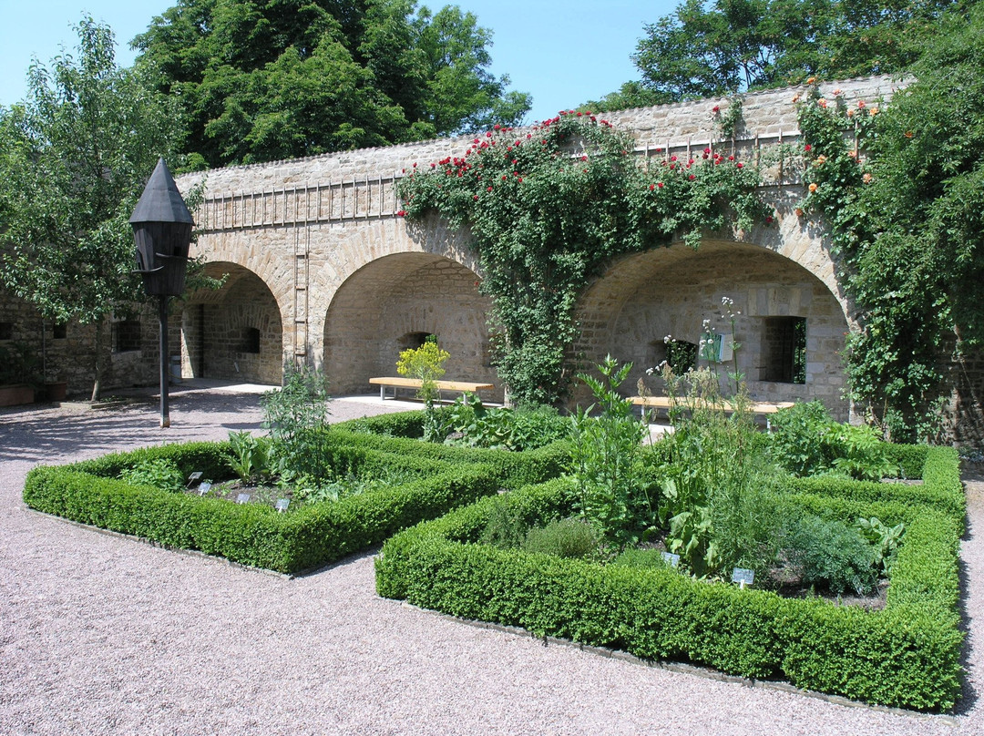 Deutsches Gartenbaumuseum景点图片