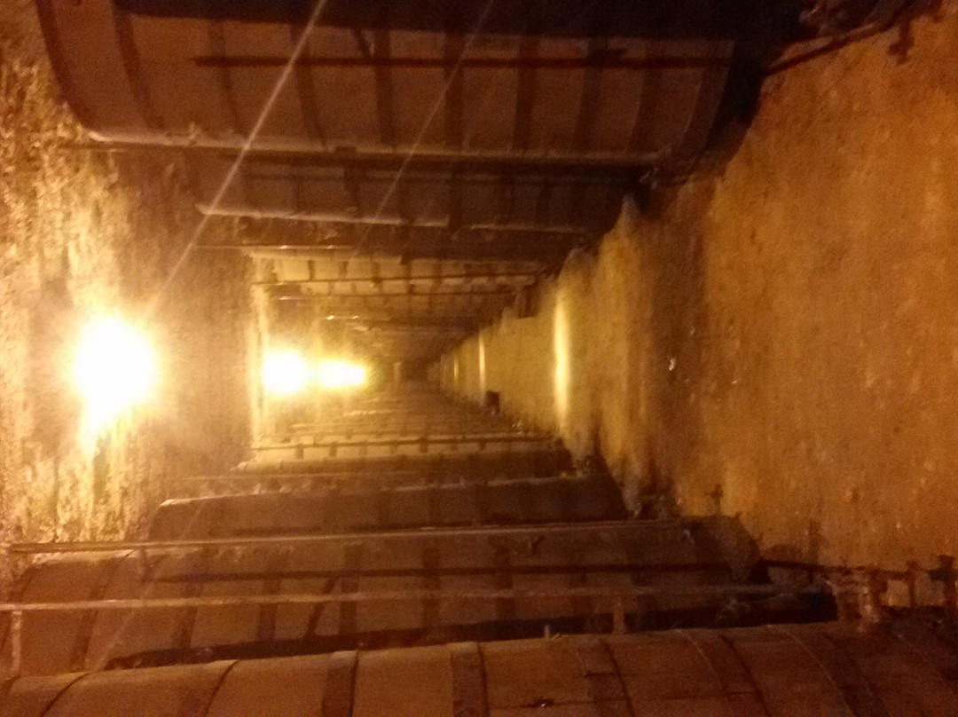 Bodegas y Viñedos Verum景点图片