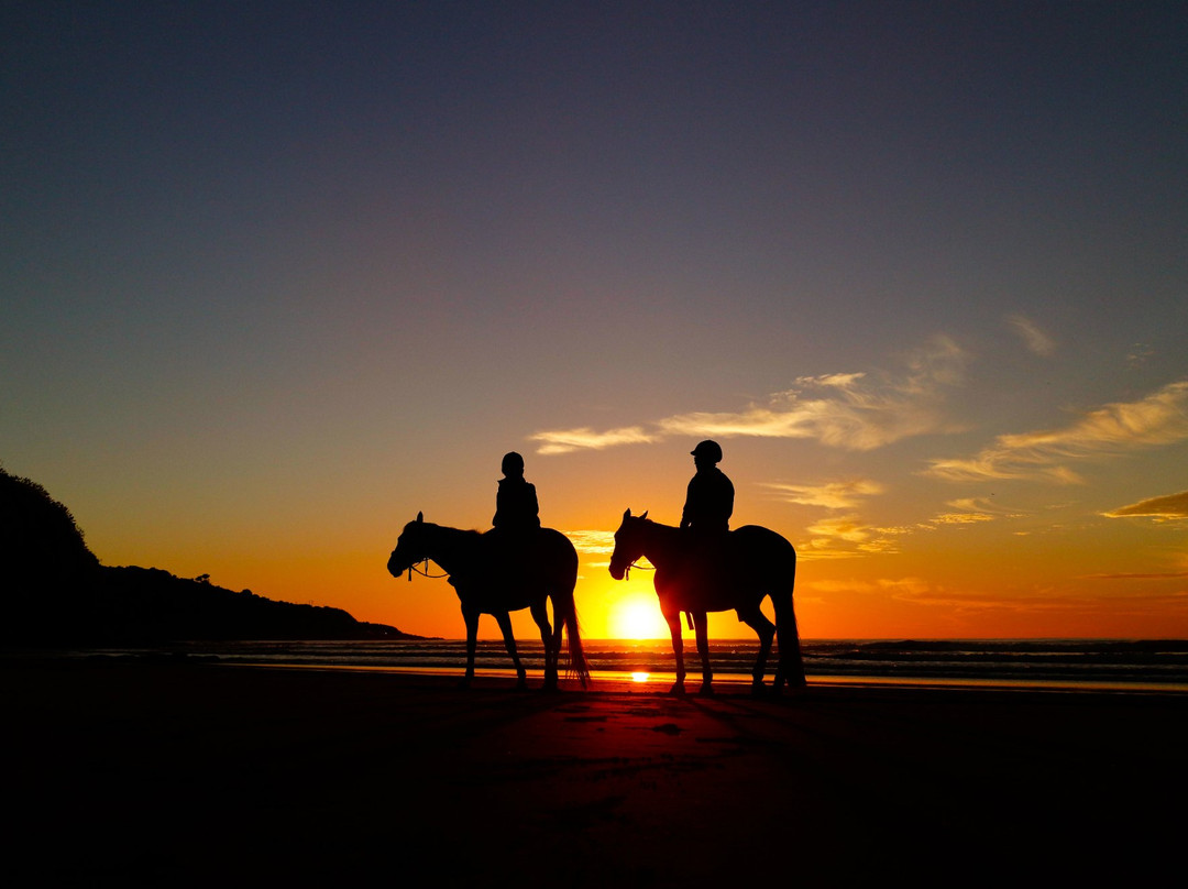 Surf & Turf Horse Riding Raglan-拉格伦必去景点