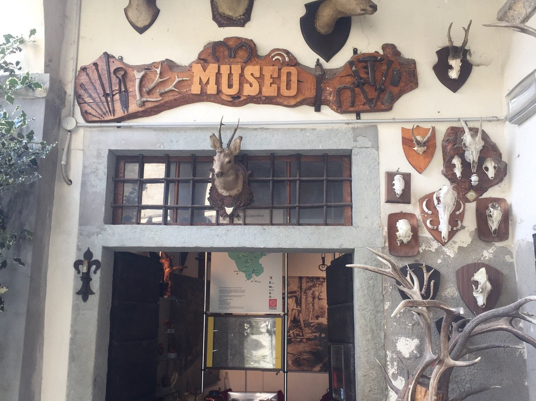 Museo del Bosco e della Montagna景点图片