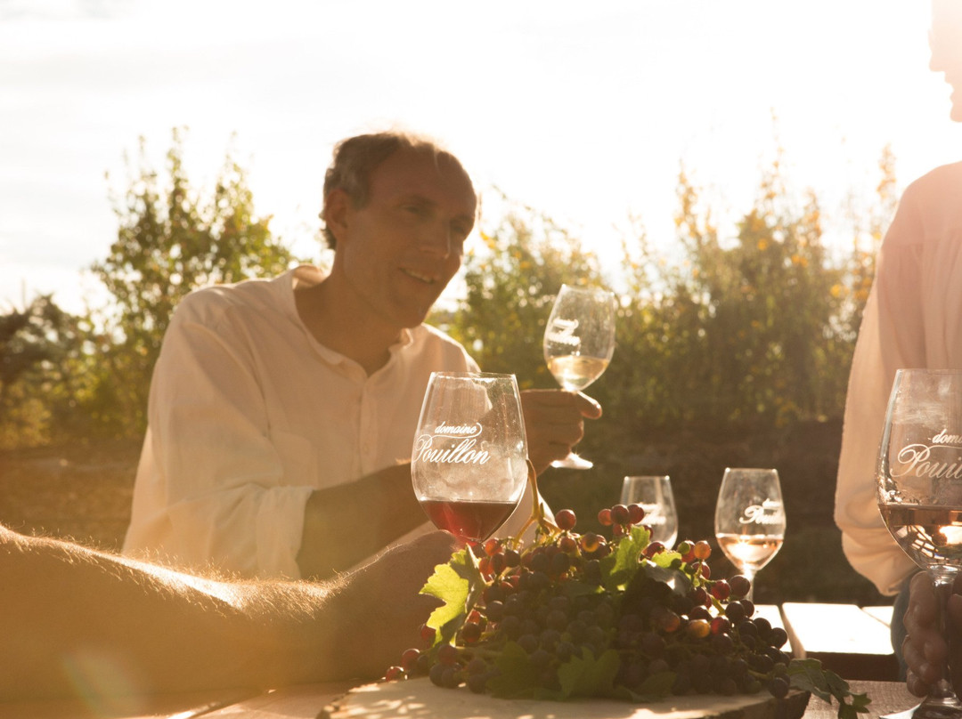 Domaine Pouillon景点图片