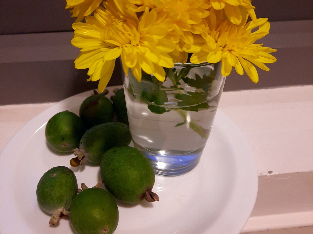 Tenedor Fino Restaurant