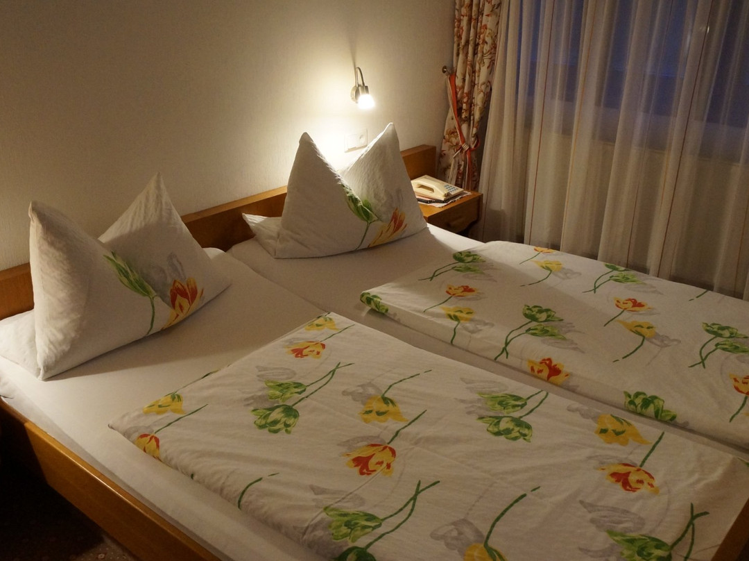 Gasthaus Zur Erle主图