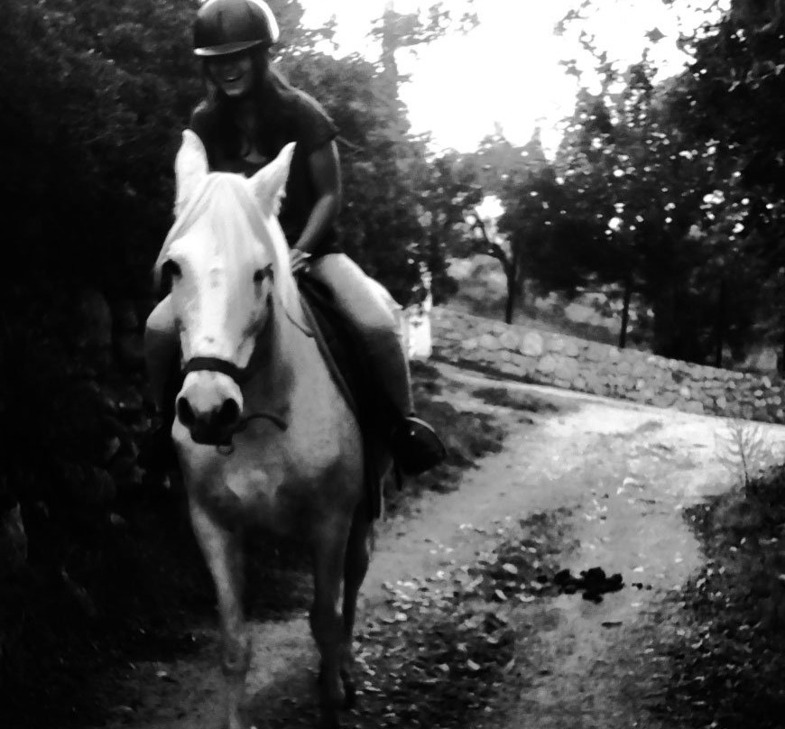 CountrySide Pony Algarve景点图片