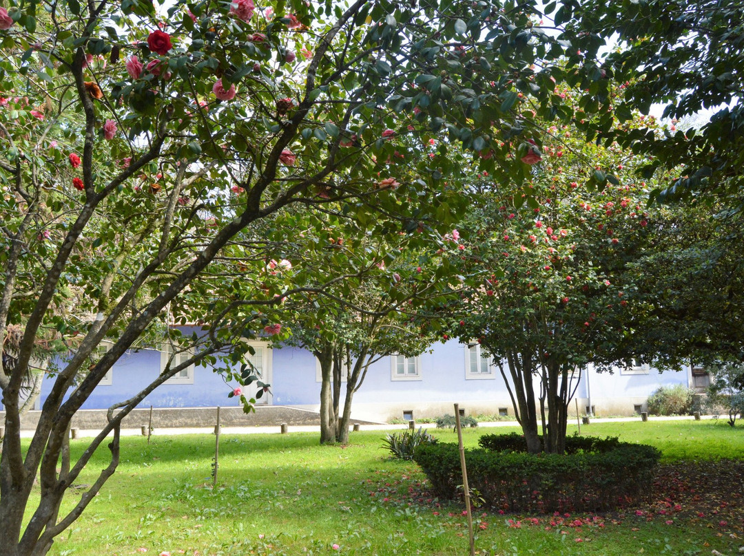 Choupal National Forest-科英布拉区必去景点