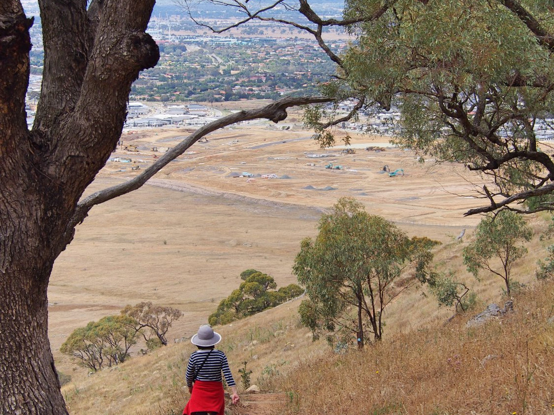 One Tree Hill Lookout Walk (Centenary Trail)景点图片