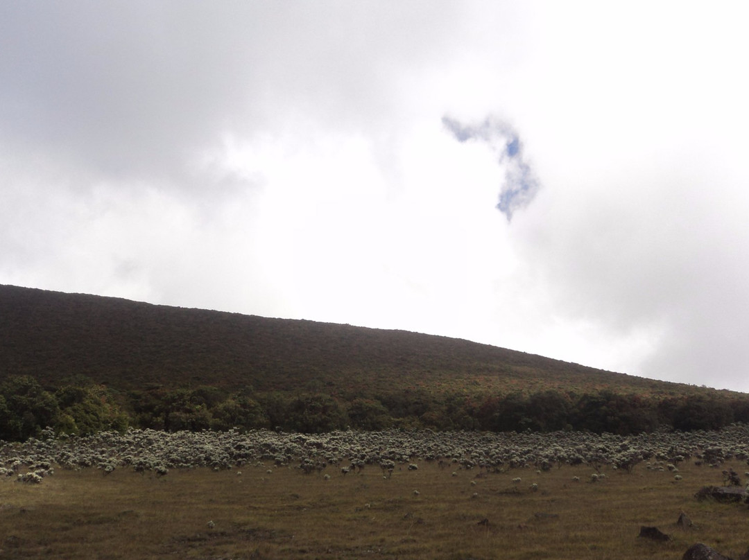 Gede Pangrango National Park-苏加武眉必去景点