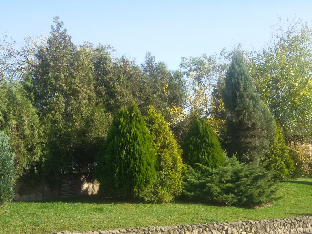 Old Kuban City Beach景点图片