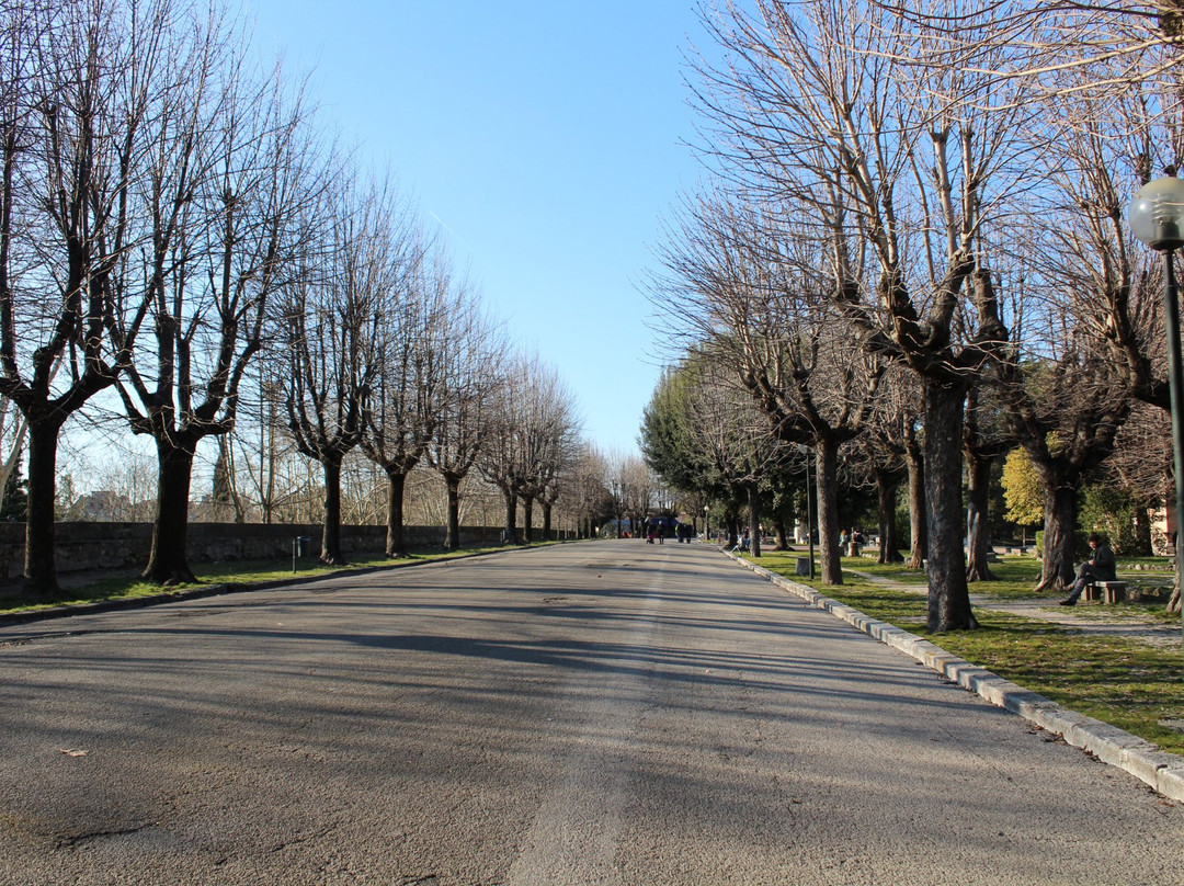 La Passeggiata景点图片