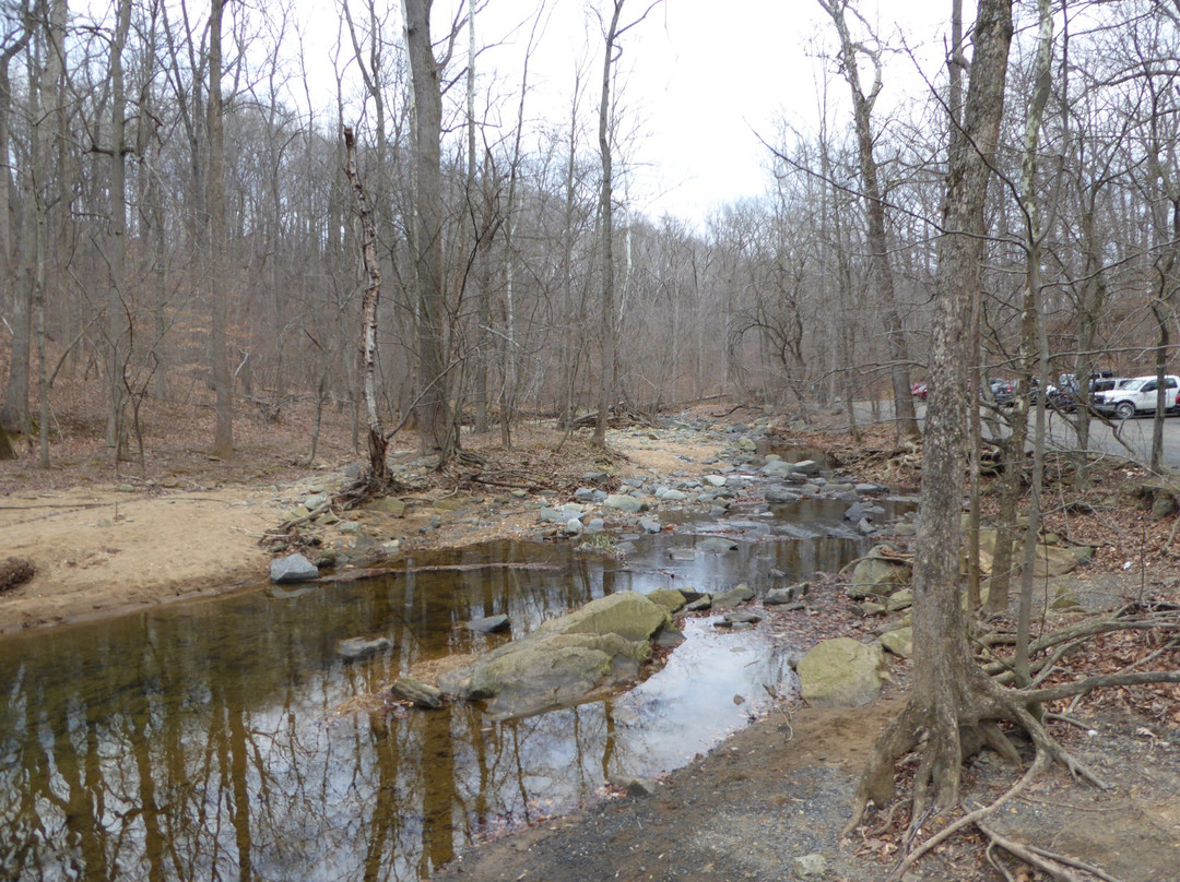 Scott's Run Nature Preserve景点图片