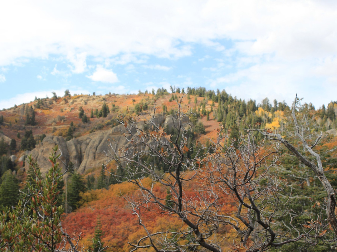 Maple Canyon-Fountain Green必去景点