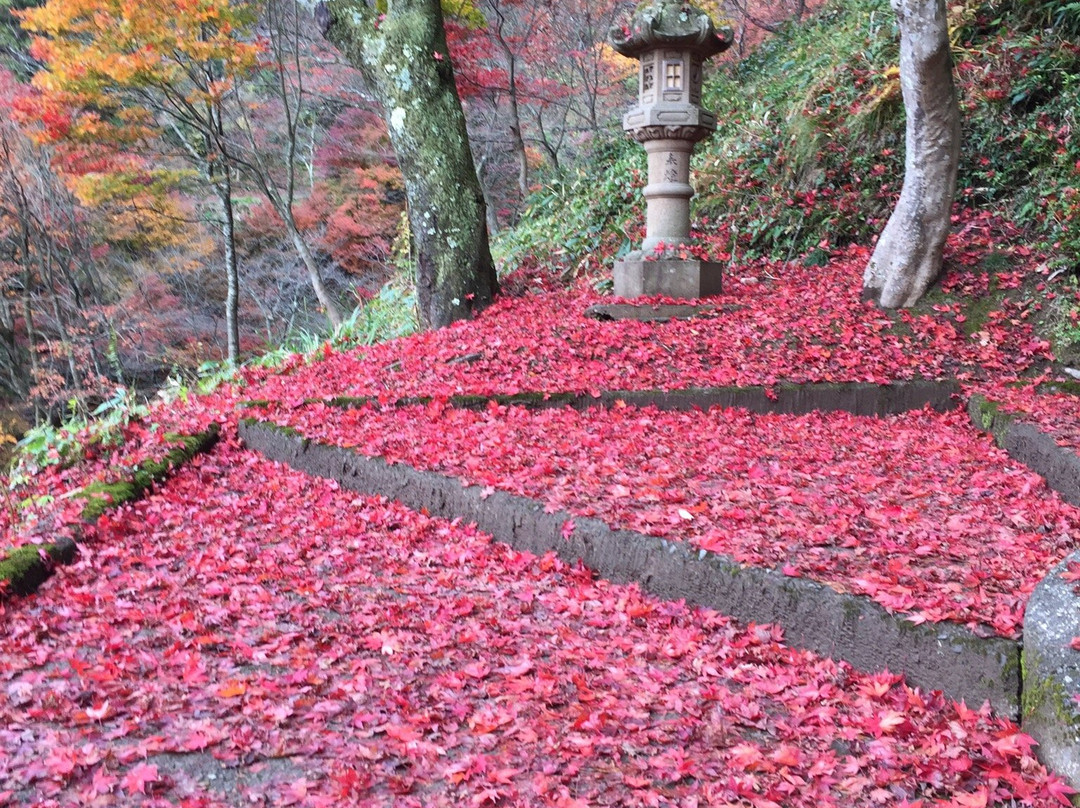 Kakyo Park-越前市必去景点