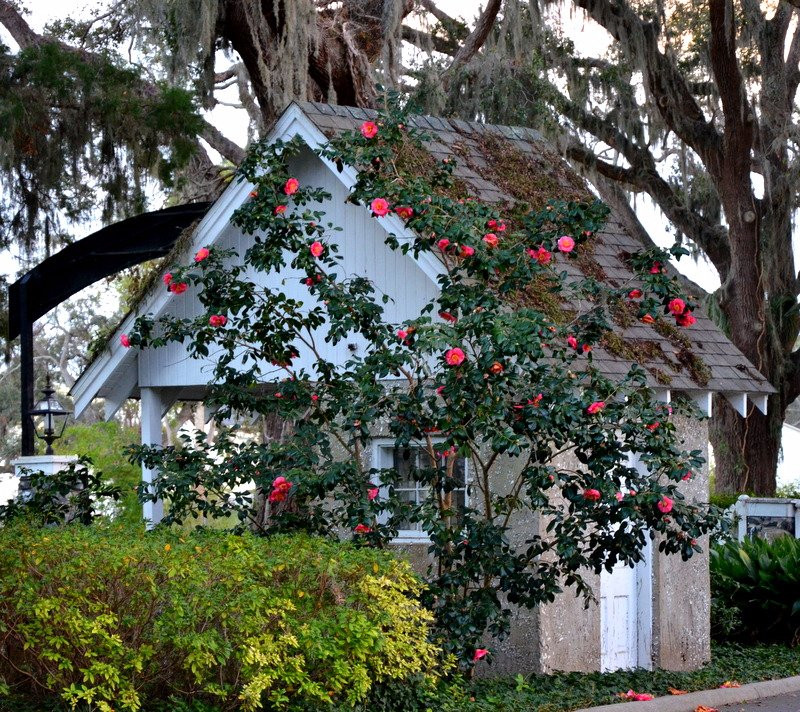 Epworth By the Sea-圣西蒙斯岛必去景点