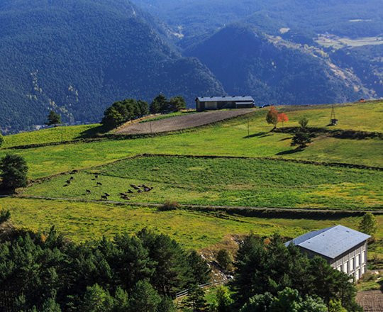 Ruta Cicloturistica 14: Coll de la Gallina