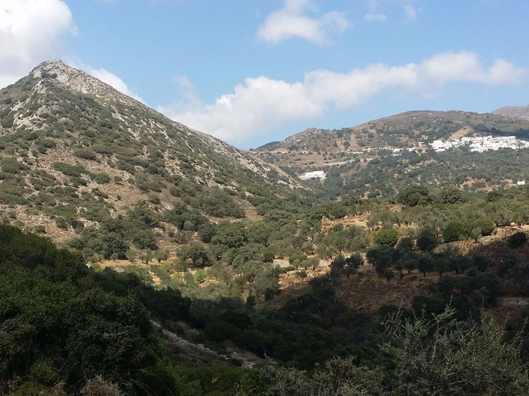 Olive Groves & Byzantine Park Trail of Tragea景点图片