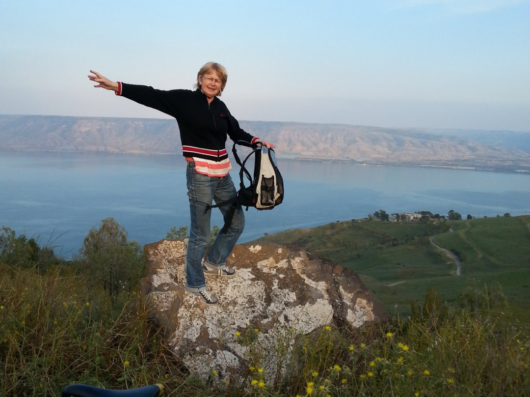 Switzerland Forest-提比利亚必去景点