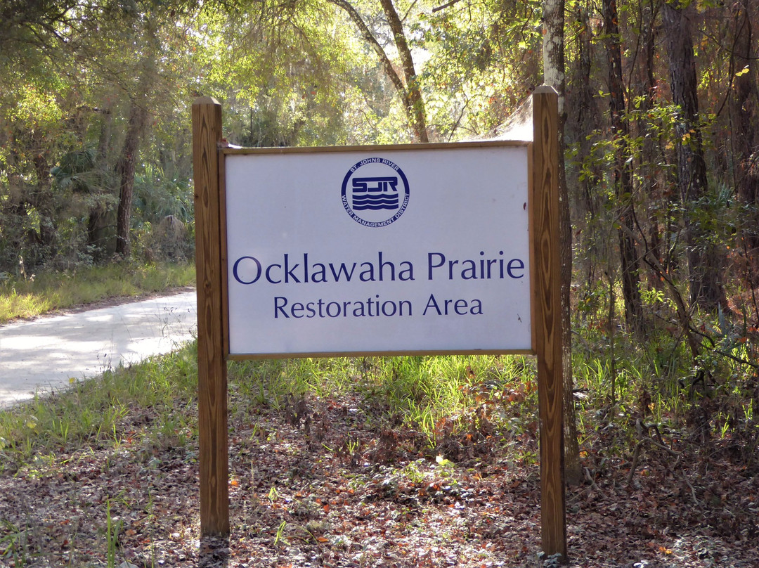 Ocklawaha Prairie Restoration Area景点图片