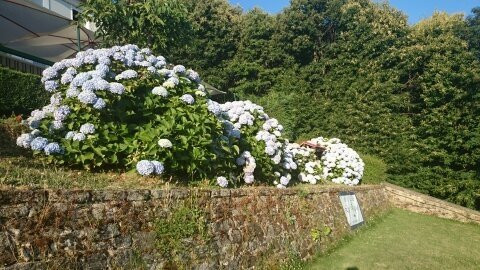 Hotel Los Duques主图