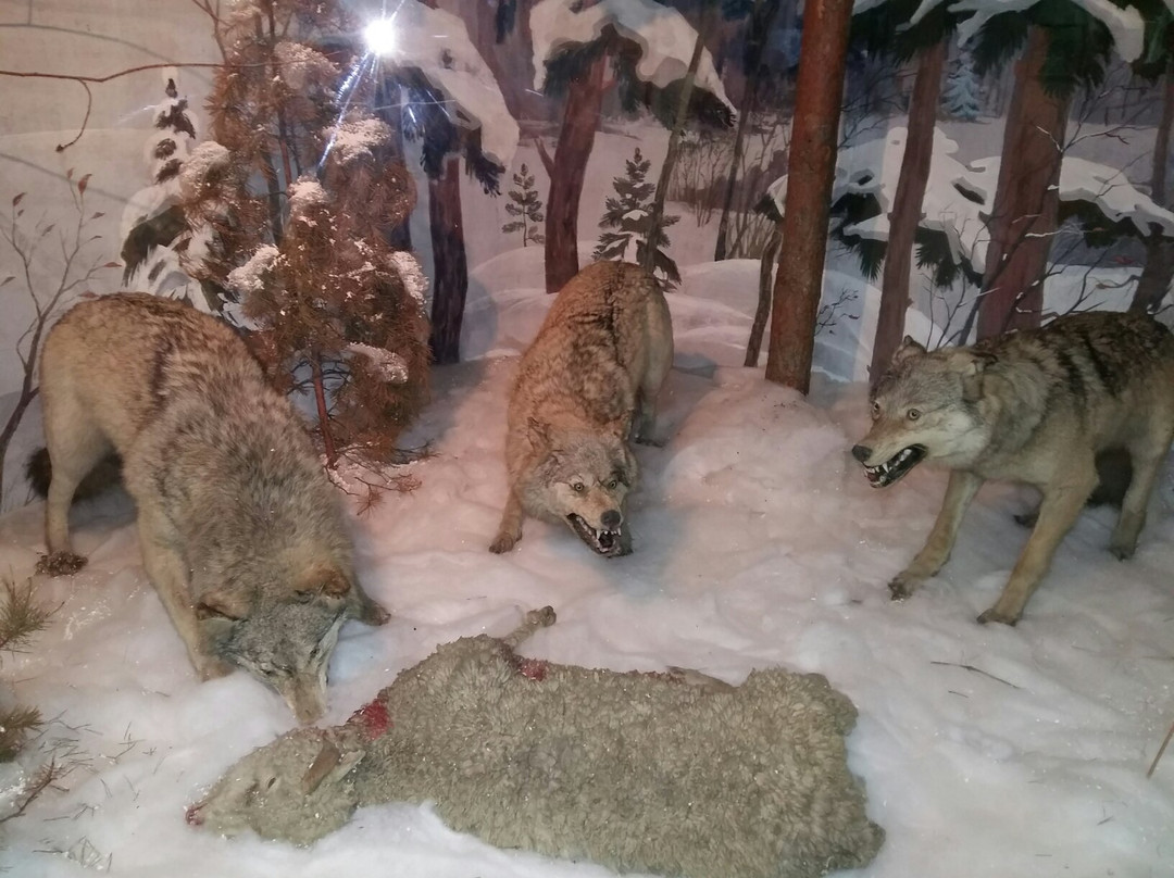 Kurgan Regional Local Lore Museum-Kurgan必去景点