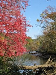 Rancocas Nature Center-Westampton必去景点