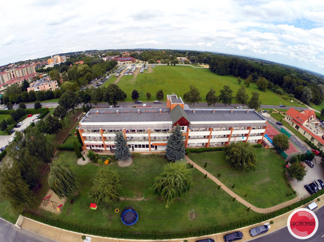 Zalakaros酒店住宿-Art Hotel