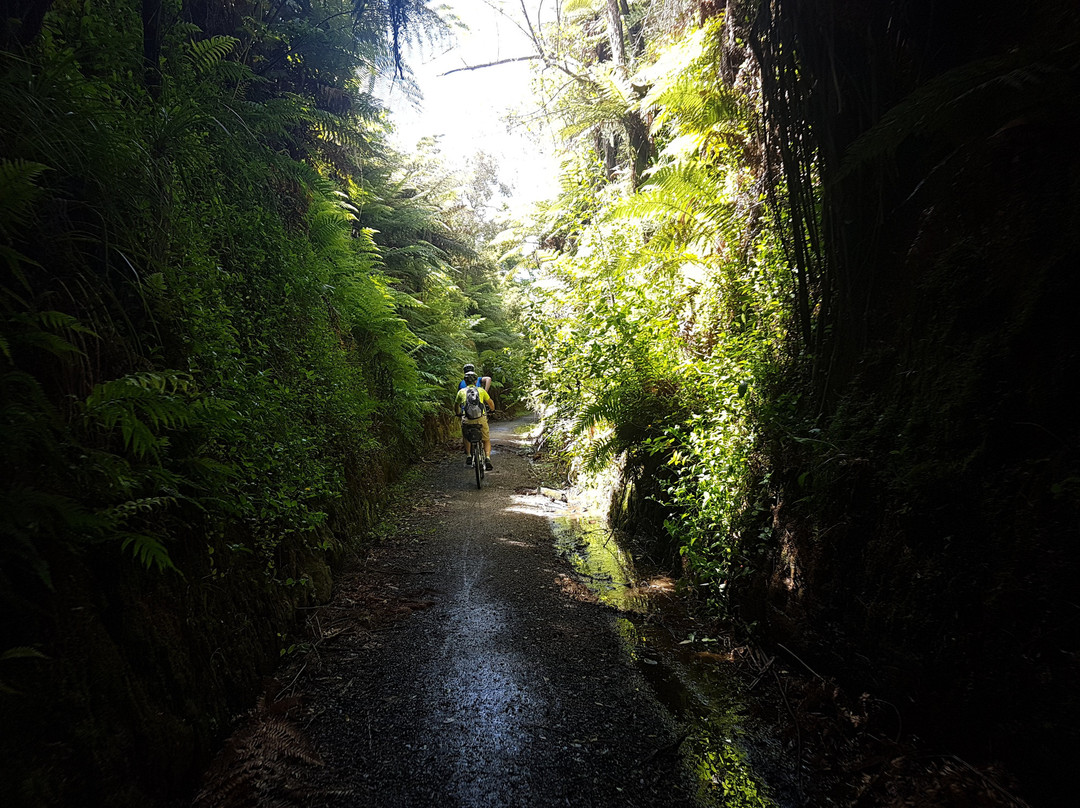 Paeroa Sportsworld景点图片