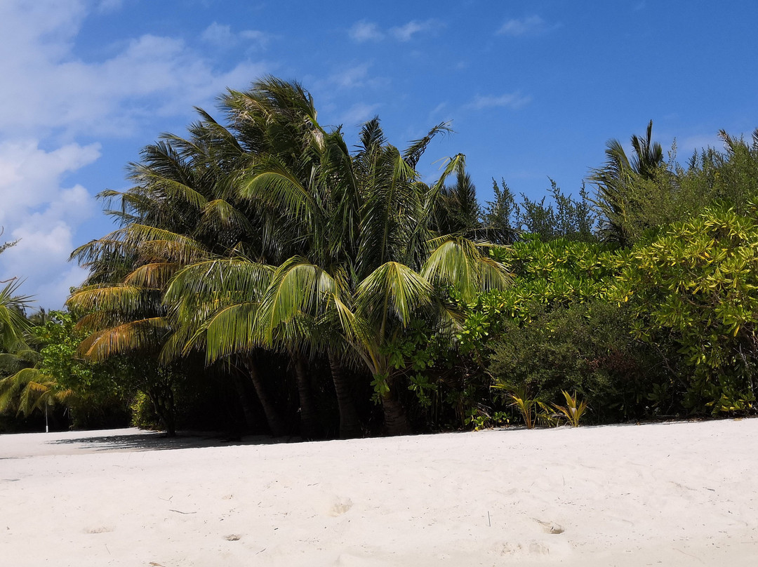 White Lagoon Fehendhoo主图