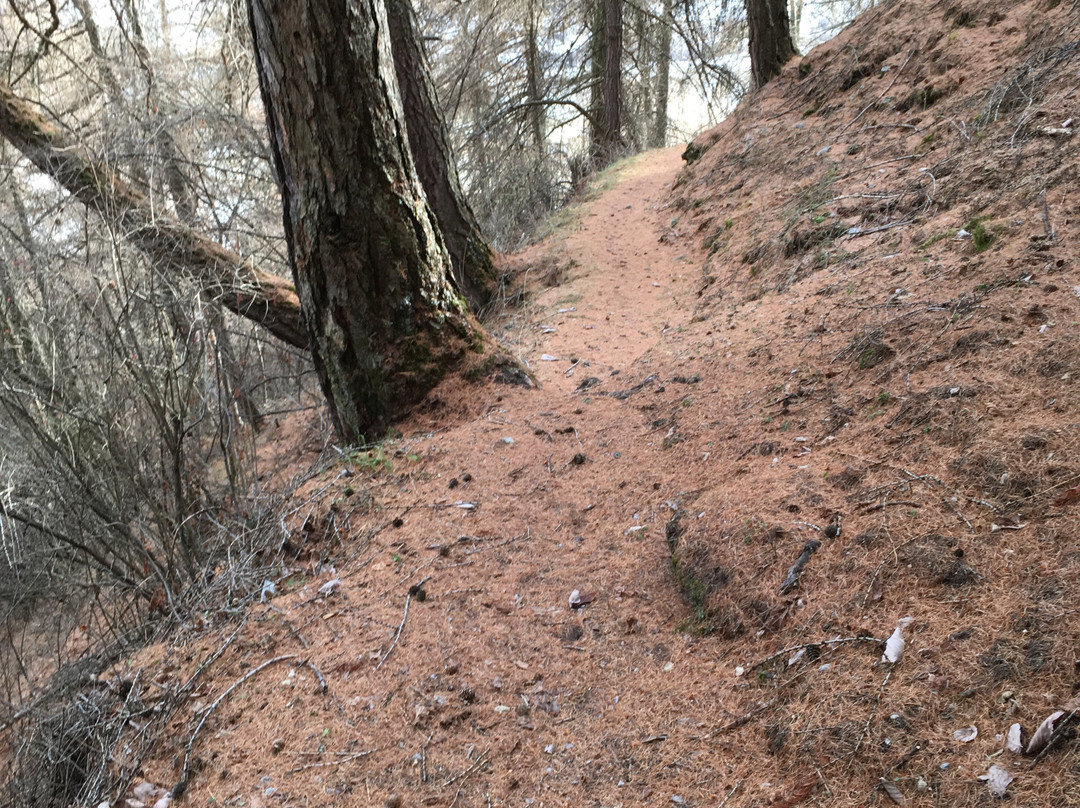 Rovina Rotund e Reichenberg-Tubre必去景点