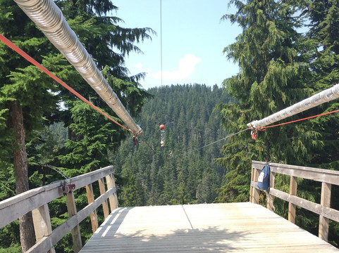 Grouse Mountain Ziplines-北温哥华必去景点