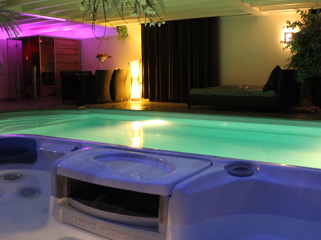 Aarts Wellness主图