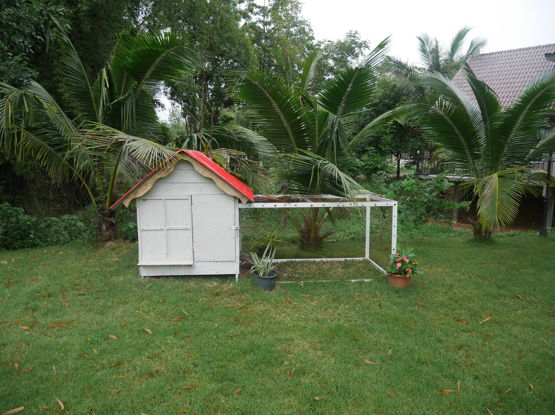 The Harmony Resort主图