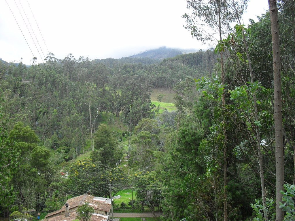 Parque Ecológico Jericó景点图片